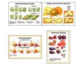 Плакаты ПРОФТЕХ "Ассортимент овощных культур" (12 пл, винил, 70х100)