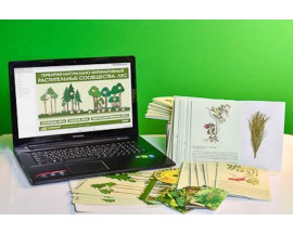 Гербарий натурально-интерактивный "Растительные сообщества. Лес"