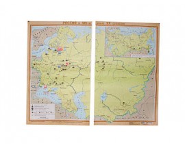 Учебная карта "Россия в  19 - нач. 20 столетия" (матовое, 2-стороннее лам.)
