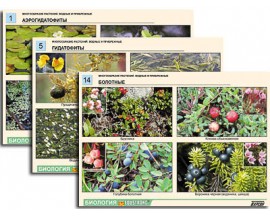 Комплект таблиц по ботанике раздат. "Многообразие растений. Водные и прибрежные" (16 шт., А4, лам)