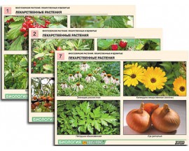 Комплект таблиц по ботанике раздат. "Многообразие растений. Лекарственные и ядовитые"(16 шт.,А4,лам)