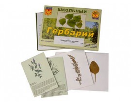 Гербарий "Лекарственные растения" (22 вида, с иллюстрациями)