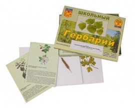 Гербарий "Сельскохозяйственные растения" (30 видов, с иллюстрациями)